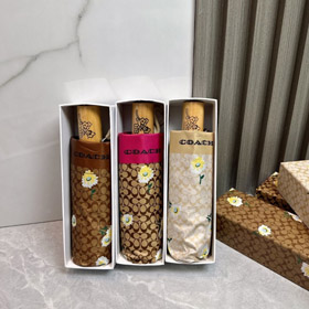 Coach Daisy Monogram Folding Umbrella-6542  